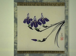 玄花・ミニ掛軸 菖蒲