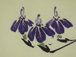 玄花・ミニ掛軸 菖蒲