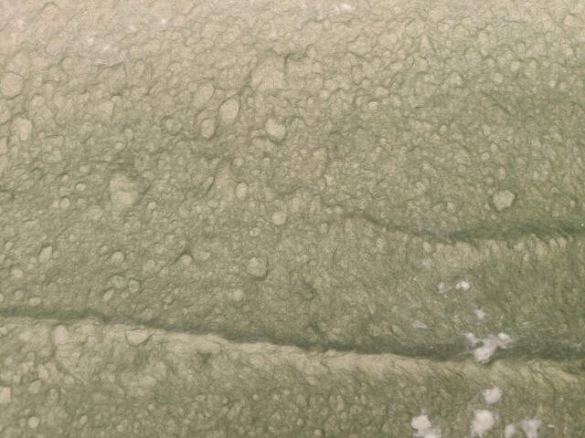 草木染め ひさかきと小鮒草,２