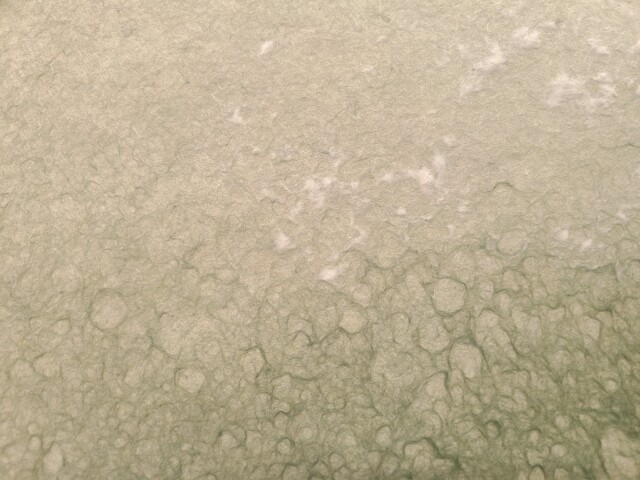 草木染め ひさかきと小鮒草,２