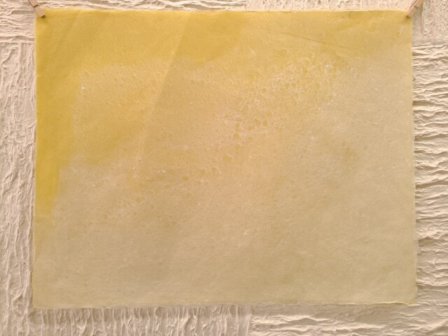 P10号 工芸紙 草木染め 小鮒草