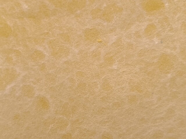 P10号 工芸紙 草木染め 小鮒草