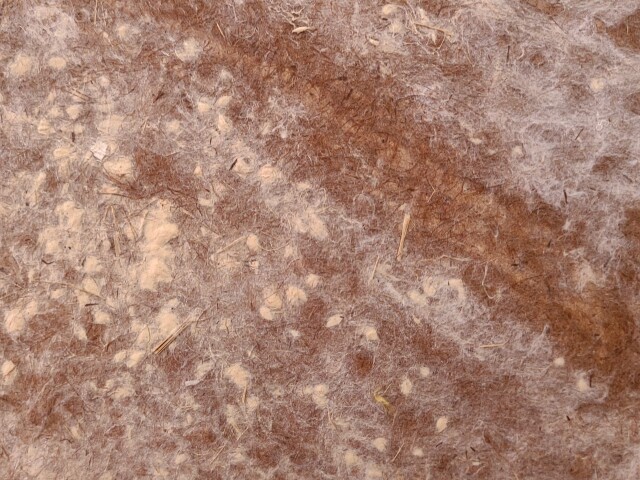 草木染め 杉皮と竹