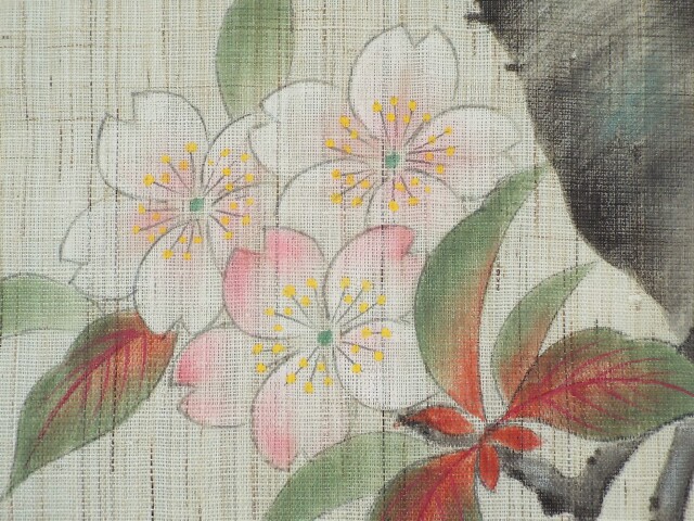 桜木2