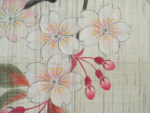 桜木3